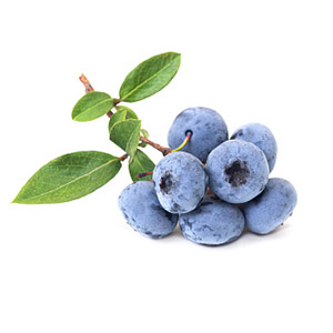 Blueberry _(Vaccinium caesariense)_ fruit extract