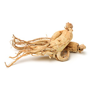 Siberian Ginseng