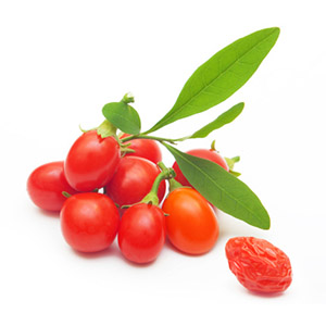 Goji Berry _(Lycium barbarum)_ fruit extract