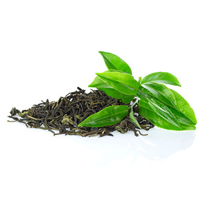 Green Tea _(Camellia sinsensis)_ leaf