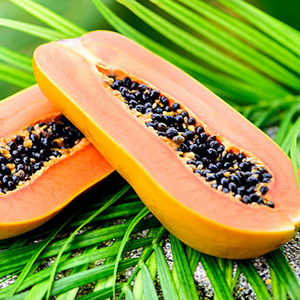 Aceite de semilla de papaya