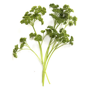 Parsley leaf extract